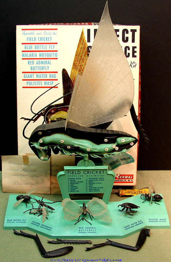 Large Boxed Educational 1960 Renwal Insect Science Plastic Model Assembly Kit