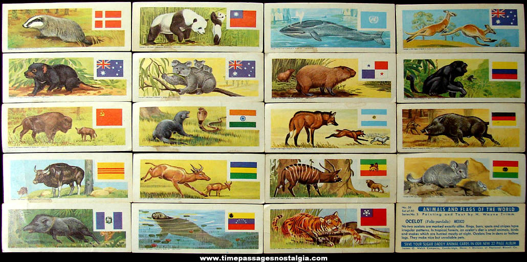 (20) Different ©1965 Sugar Daddy Candy Animals and Flags of The World Trading Cards