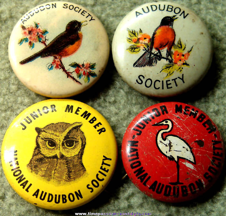 (4) Different Old Audubon Society Advertising Membership Pin Back Buttons