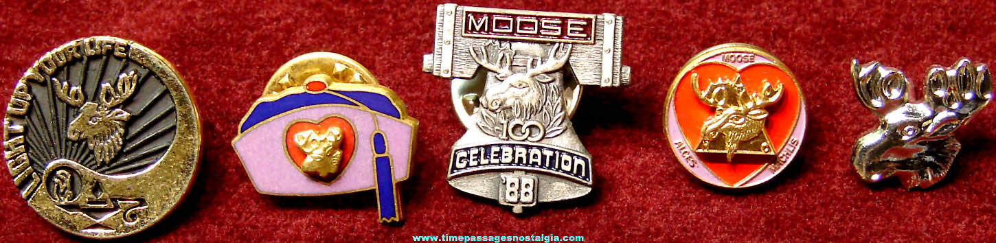 (5) Different Small Old Moose Fraternal Lodge Advertising Pins