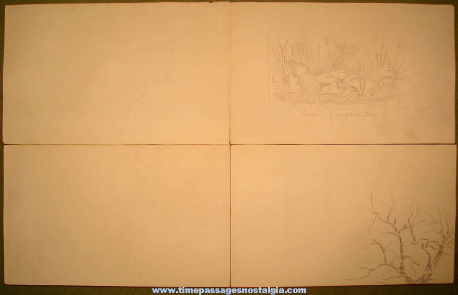 (6) Unique Different 1919 Artist Sample Paper Pages