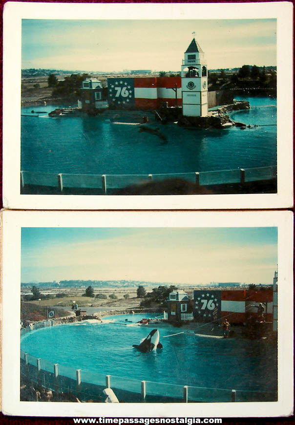 (2) Different 1976 Sea World American Bicentennial Flag Sign Polaroid Photographs