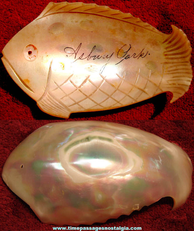 Colorful Old Asbury Park New Jersey Advertising Souvenir Carved Shell Fish