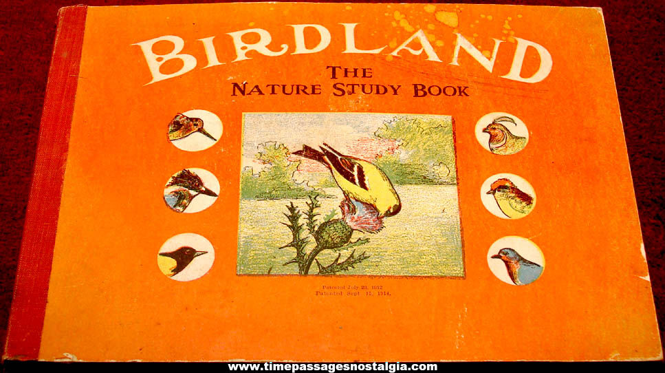 1919 Children’s Birdland Nature Study Book with Bird Heads