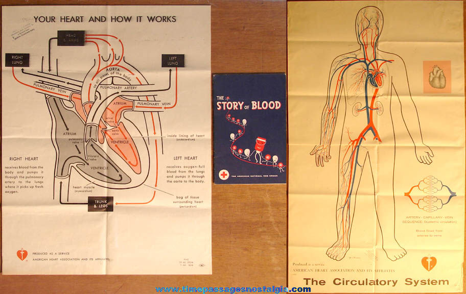 (3) Different Old American Heart Association & Red Cross Blood Related Posters & Booklet