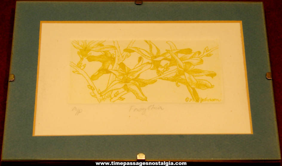 Signed Dated Matted & Framed Forsythia Flower Intaglio Etching Artists Proof Floral Art Print