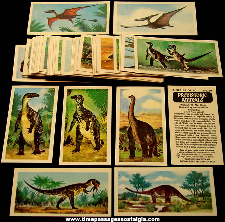 Set of (50) ©1972 Brooke Bond Tea Prehistoric Animals Trading Cards