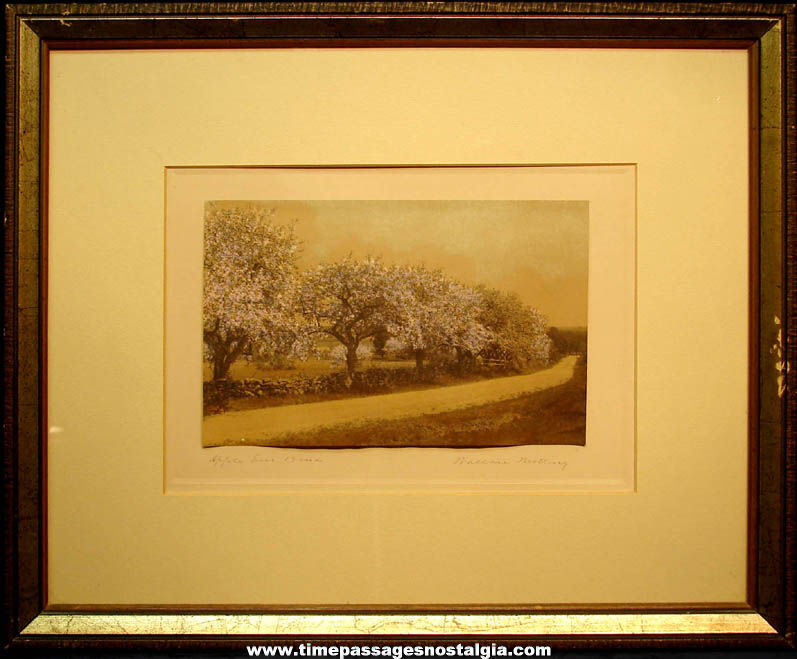 Large Old Framed Wallace Nutting Apple Tree Bend Colorized Print