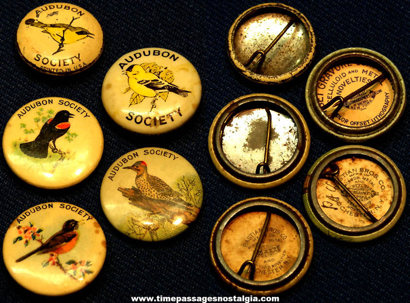 (5) Different Old Audubon Society Bird Imprinted Celluloid and Tin Pin Back Buttons