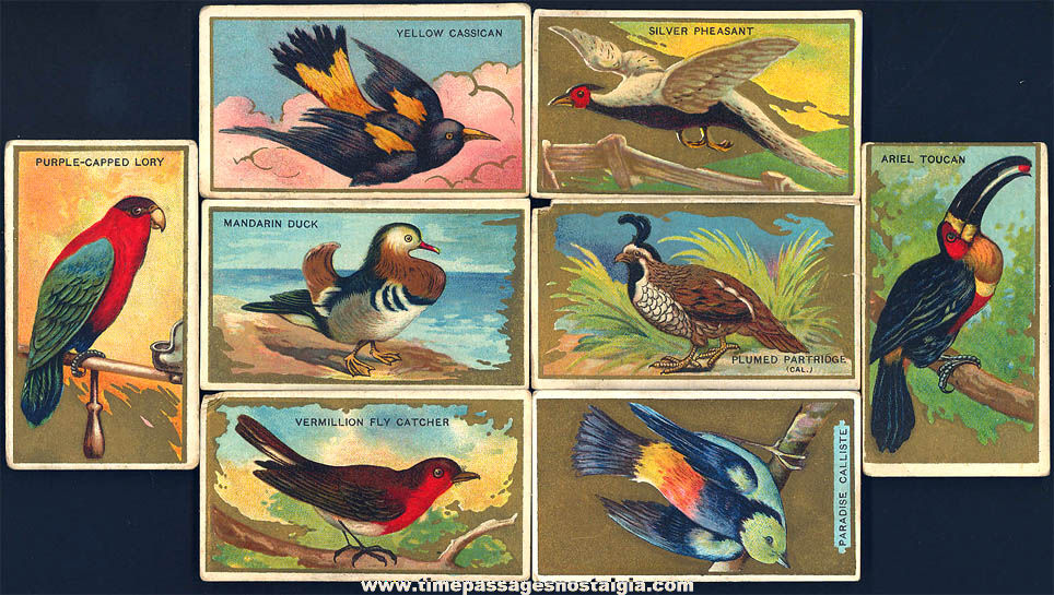 (8) Different Colorful Old Mecca Cigarettes Advertising Premium Bird Series Trading Cards