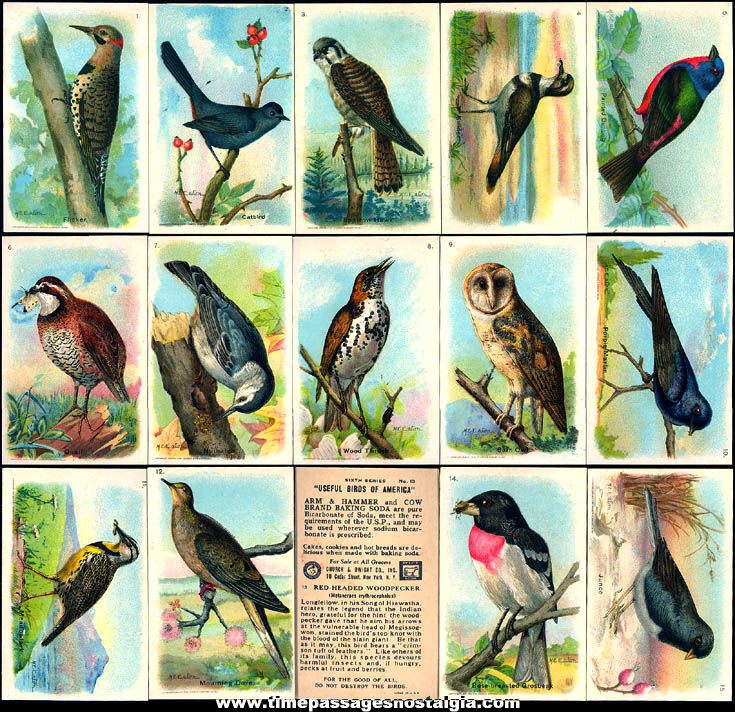 (15) Different Colorful 1914 Arm & Hammer Baking Soda Advertising Premium Bird Series Trading Cards