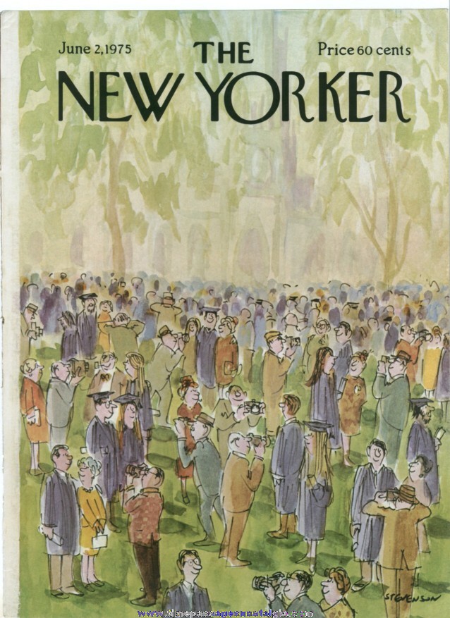 New Yorker Magazine COVER ONLY - June 2, 1975 - James Stevenson
